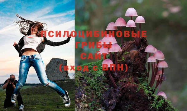 амфетамин Богородск
