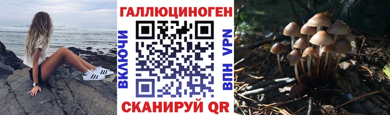 Галлюциногенные грибы Cubensis  Курильск 